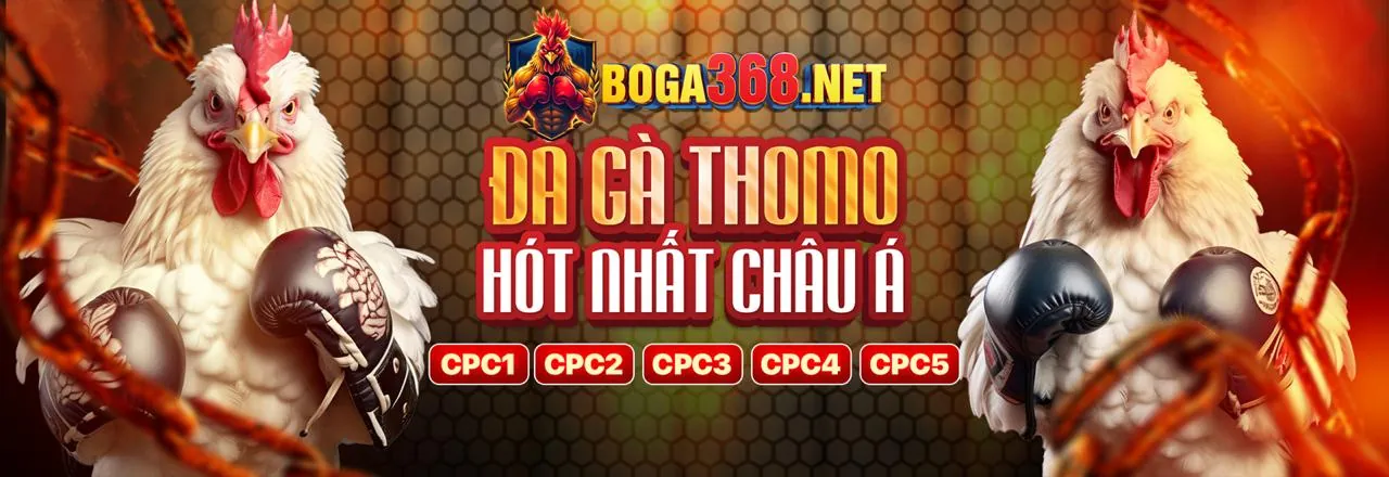 Đá Gà F88 Chính Thức: Sân đấu rực lửa, gà chiến dũng mãnh